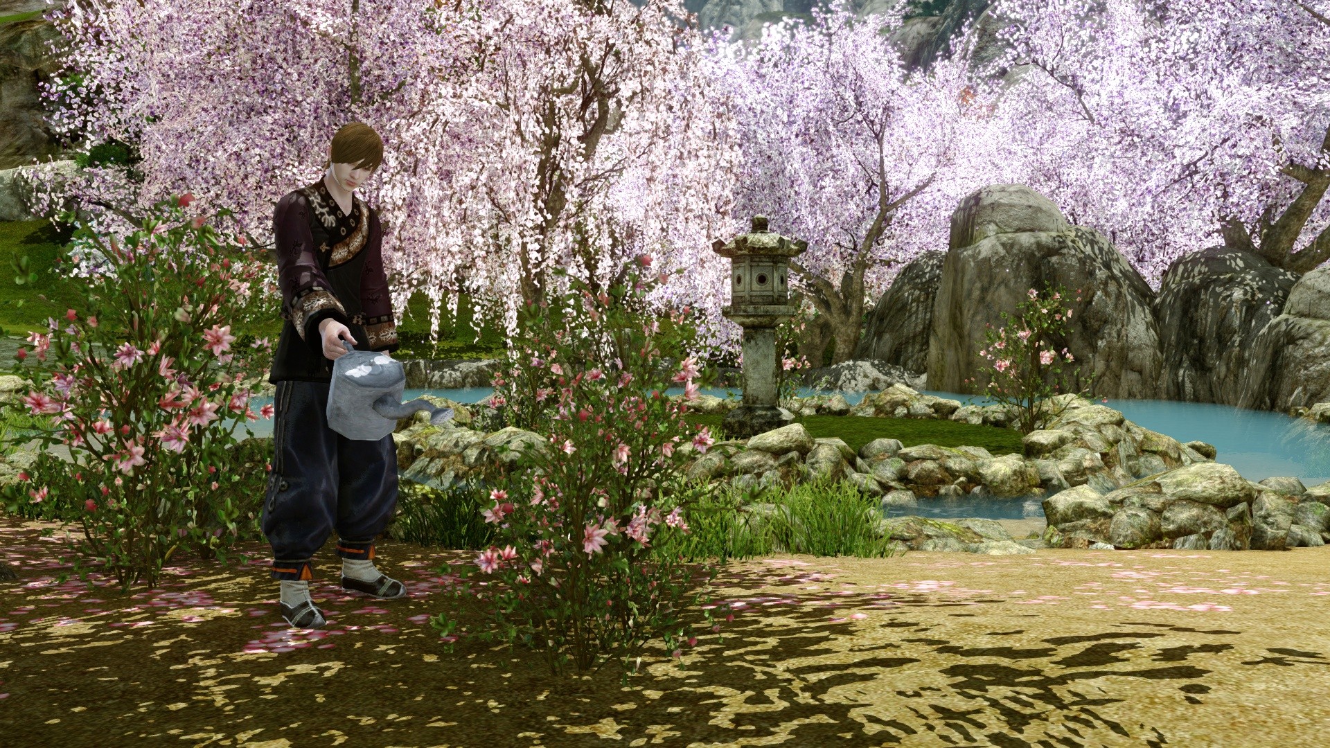 Праздник цветущей вишни