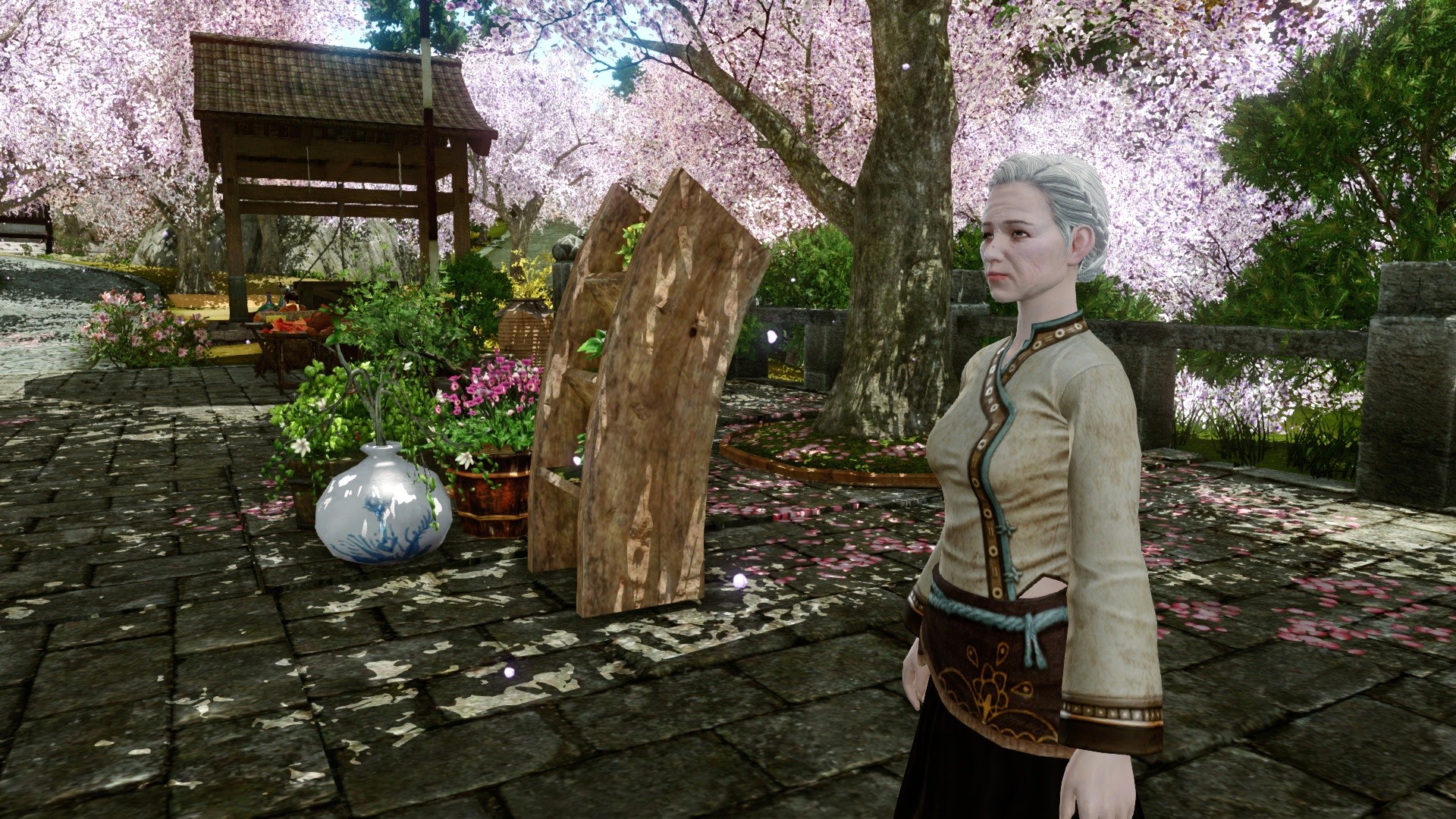 Праздник цветущей вишни