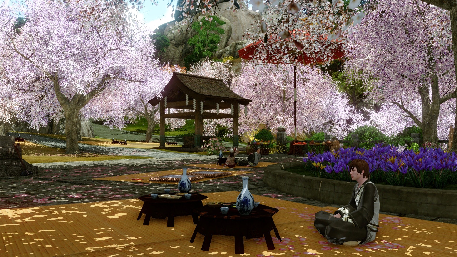 Праздник цветущей вишни