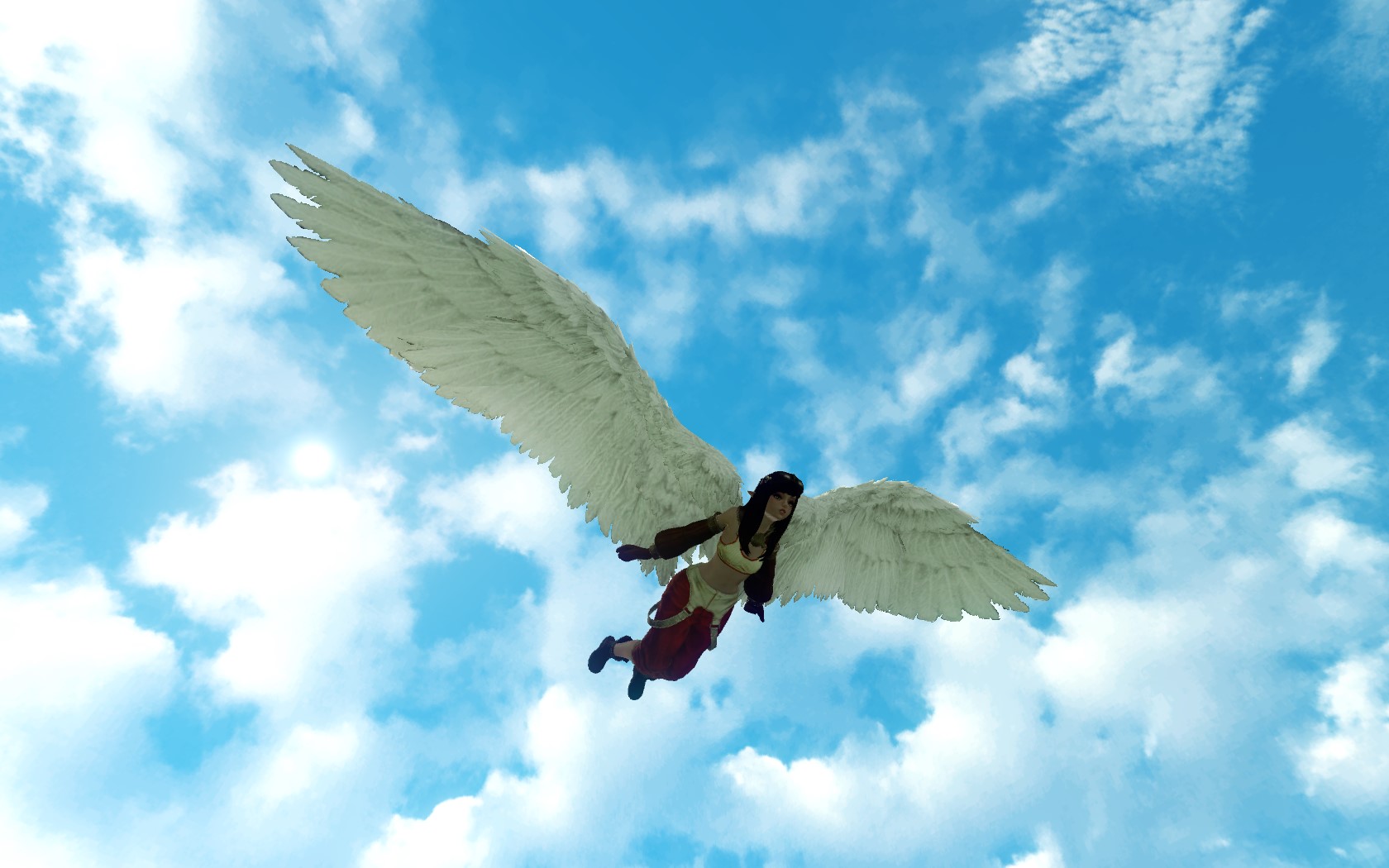 «Крылья астры»