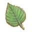 Климат тропический.png