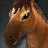 Вороной жеребенок.png