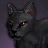 Черный кот.png