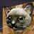 Абсолютно счастливый Дымок (2).png
